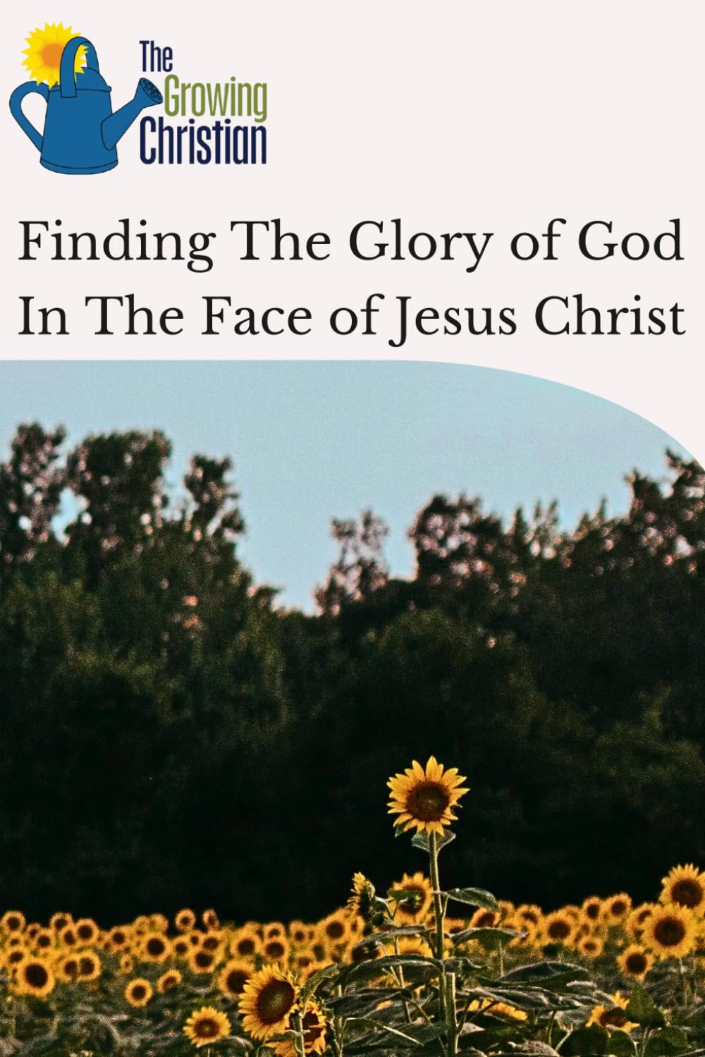 Finding The Glory of God In The Face of Jesus Christ