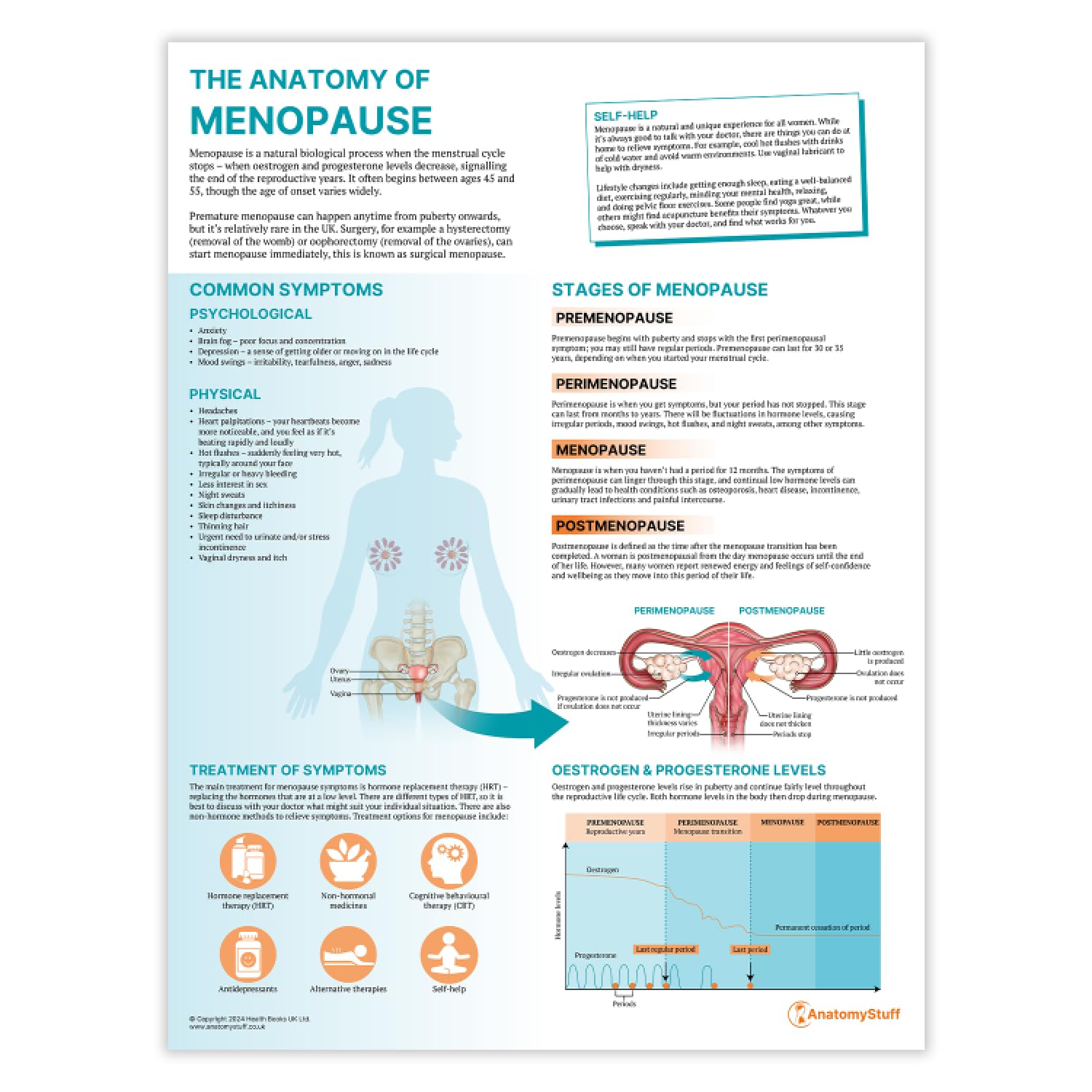 Anatomy Stuff Women's Menopause The Anatomy Of Poster/Chart, 45X60 Cm, 18X24 Inches, Understanding Peri, Health, Awareness Diagram