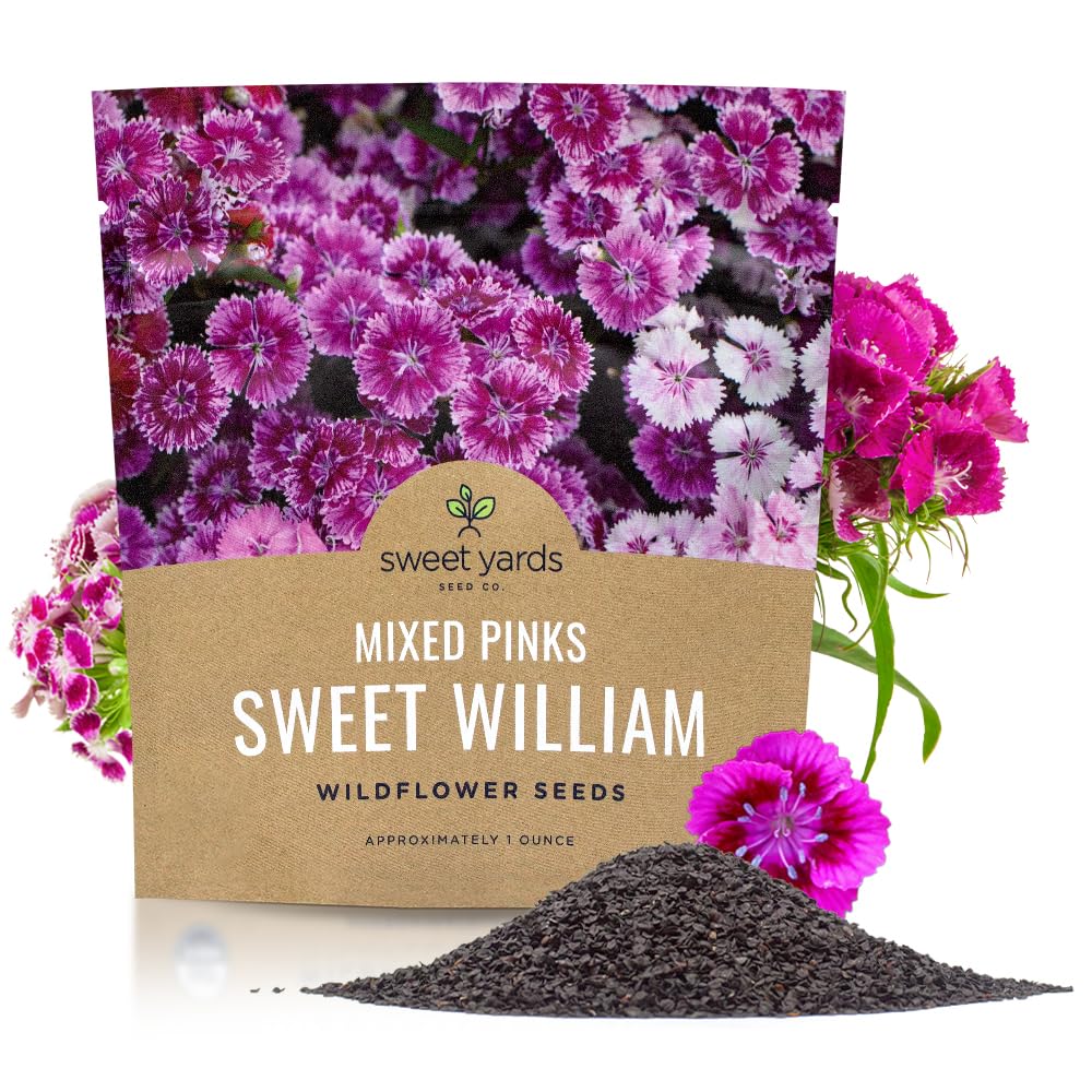 sweet William様 Sweet William, Tall Double Mixed Colors Seeds | Perennial