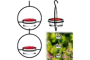 Hummble Slim Hummingbird Feeder