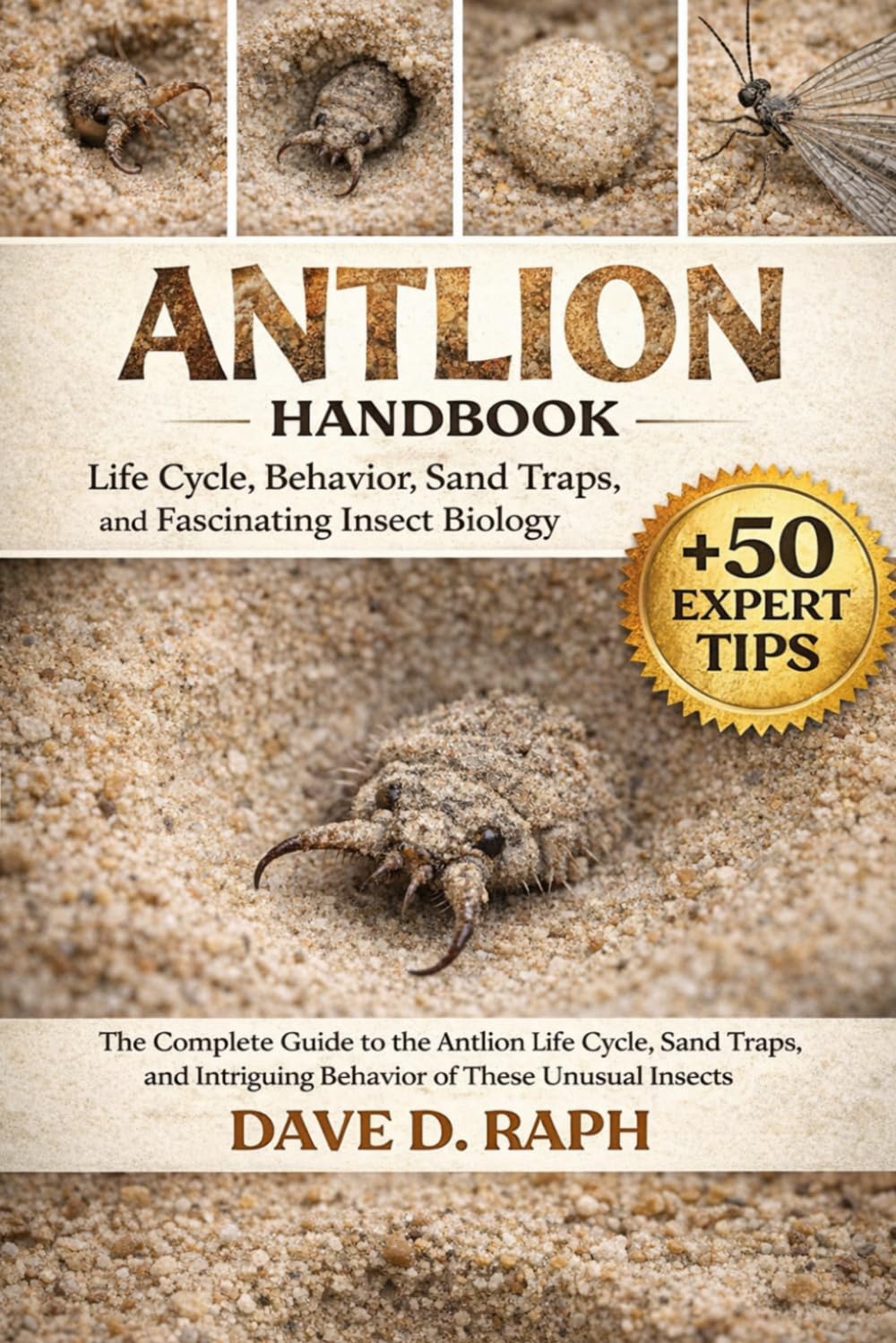 Antlion Handbook: Life Cycle, Behavior, Sand Traps, and Fascinating Insect Biology