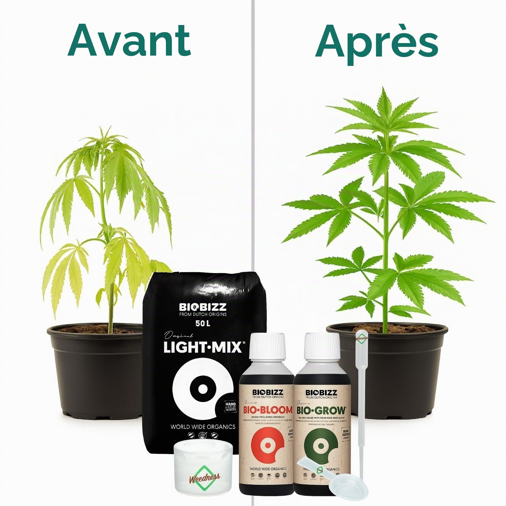 Weedness BioBizz Light Mix 50 L Set – Terreau organique + nutriments pour jeunes plantes