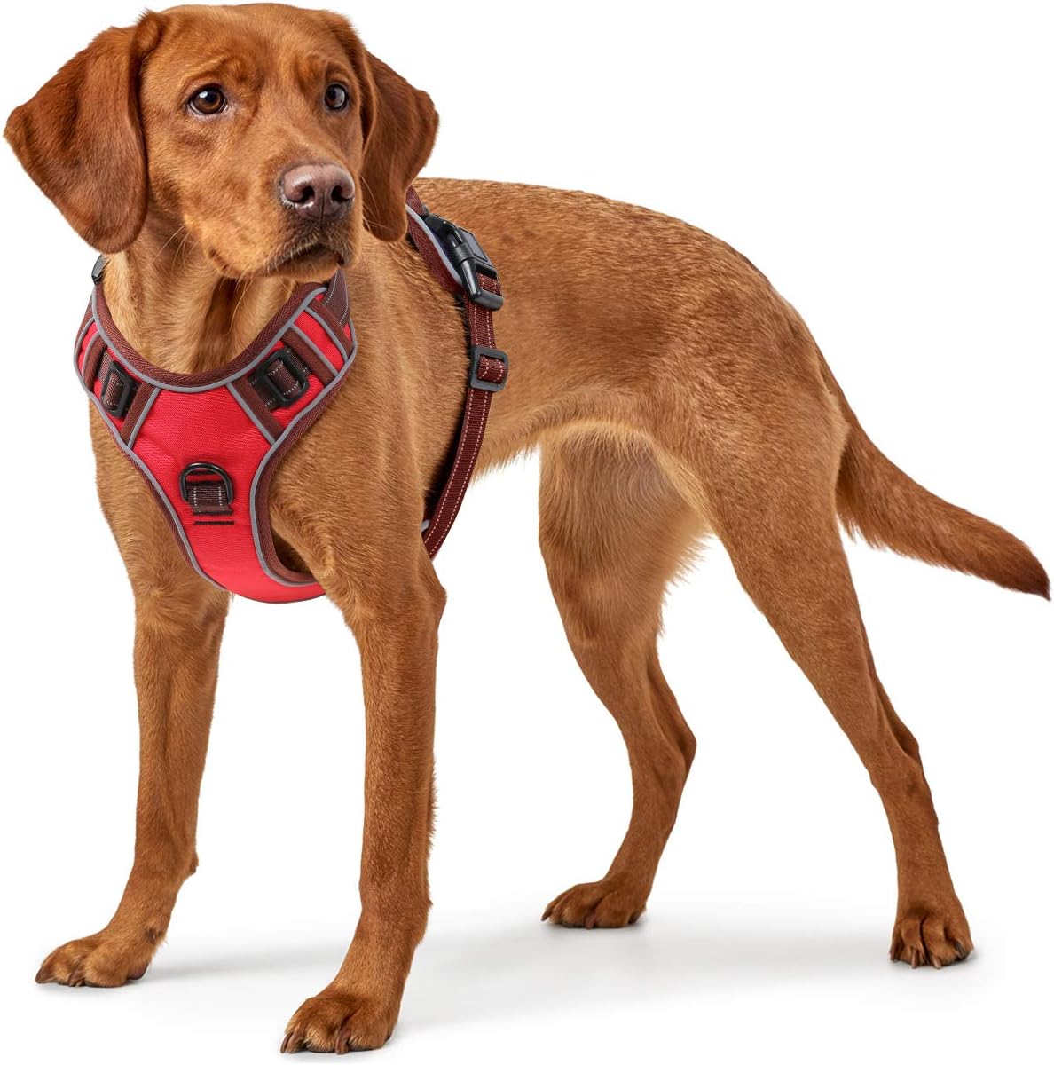 EAVSOW Dog Harness, No Pull Pet Harness with Front & Back 2 Leash Attachments, Adjustable Reflective Dog Vest for Outdoor Walking Training Control (L,Red)