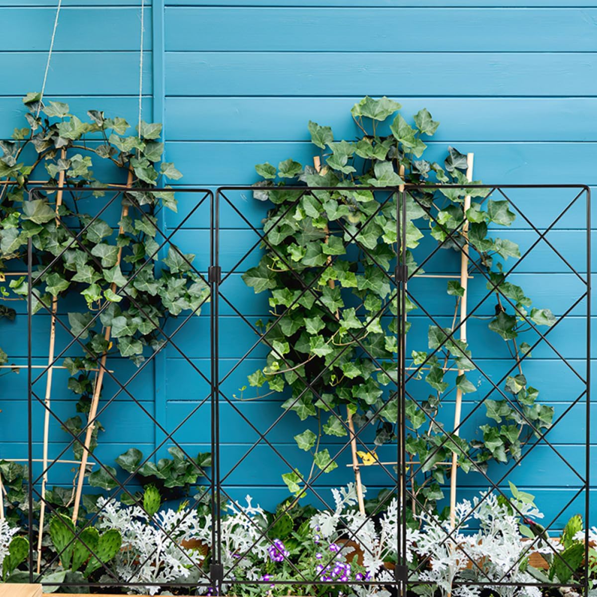 VICASKY 2pcs Garden Trellis for Climbing Plants and Tomatoes Cages Foldable Plant Support Stands for Indoor and Outdoor Vine Climbing Small Sturdy