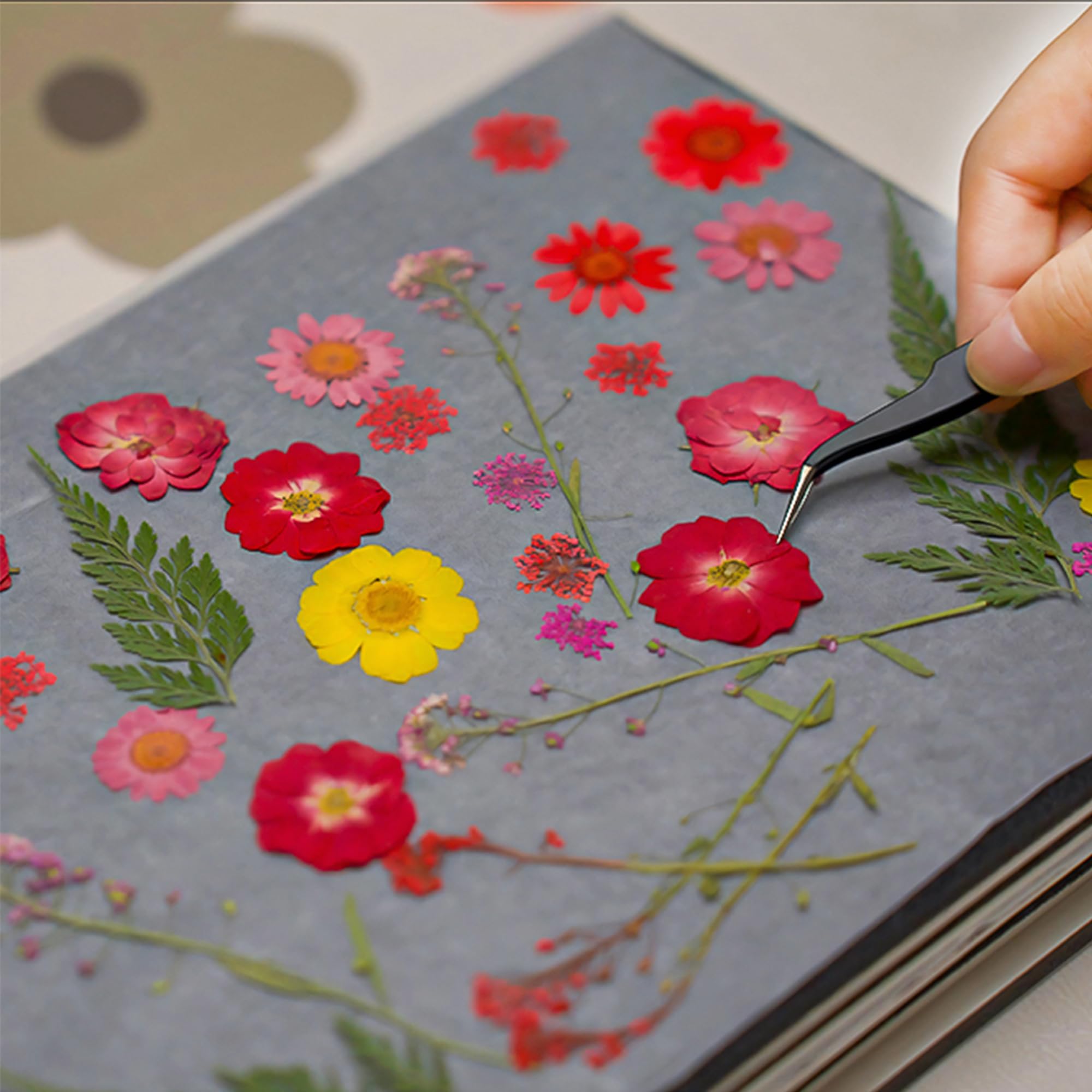 QSLKI Kit in Legno Per Pressatura Fiori, Piante e Foglie - 15x21cm Con 6 Strati Per Adulti e Bambini - Perfetto Per Arti e Mestieri