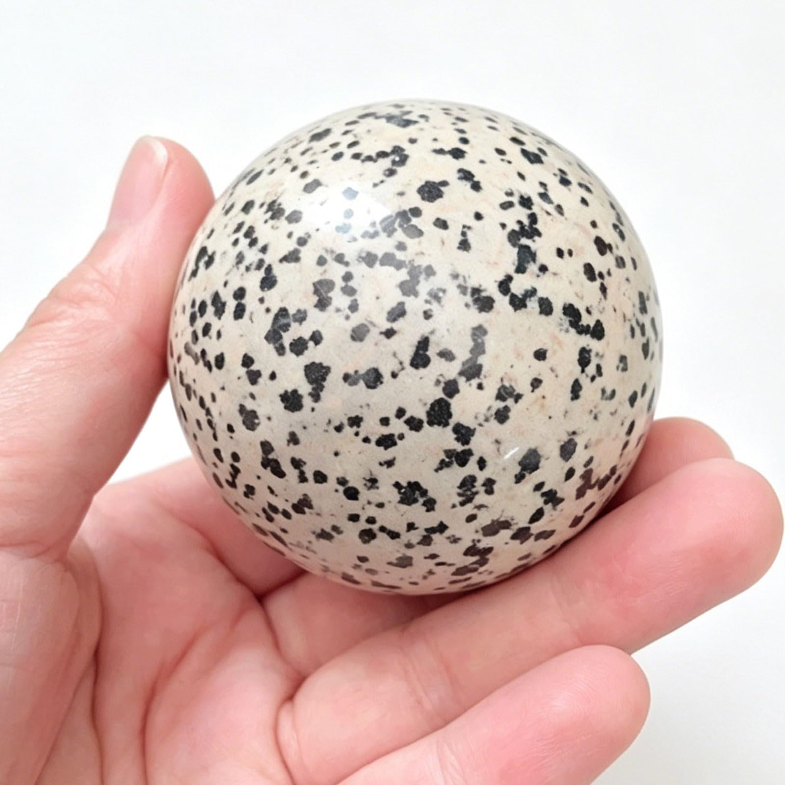 DECORN Natural Healing Crystal Sphere Ball Gemstone Sphere 1.57-1.97 Inchs Decorative Ball with Display Stand for Feng Shui Chakra Aura Home Office Living Room Decor,Dalmation Jasper