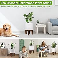 Vista 2 de Paquete de 2 soportes de madera para plantas de interior, soportes resistentes para macetas, estante de plantas, taburete de madera para soporte