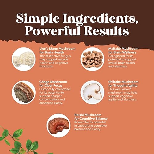 Miniatura 7 de Paquete de cápsulas de glicinato de magnesio de alta absorción para calmar el sueño, más apoyo muscular y óseo y nervioso y cápsulas complejas de