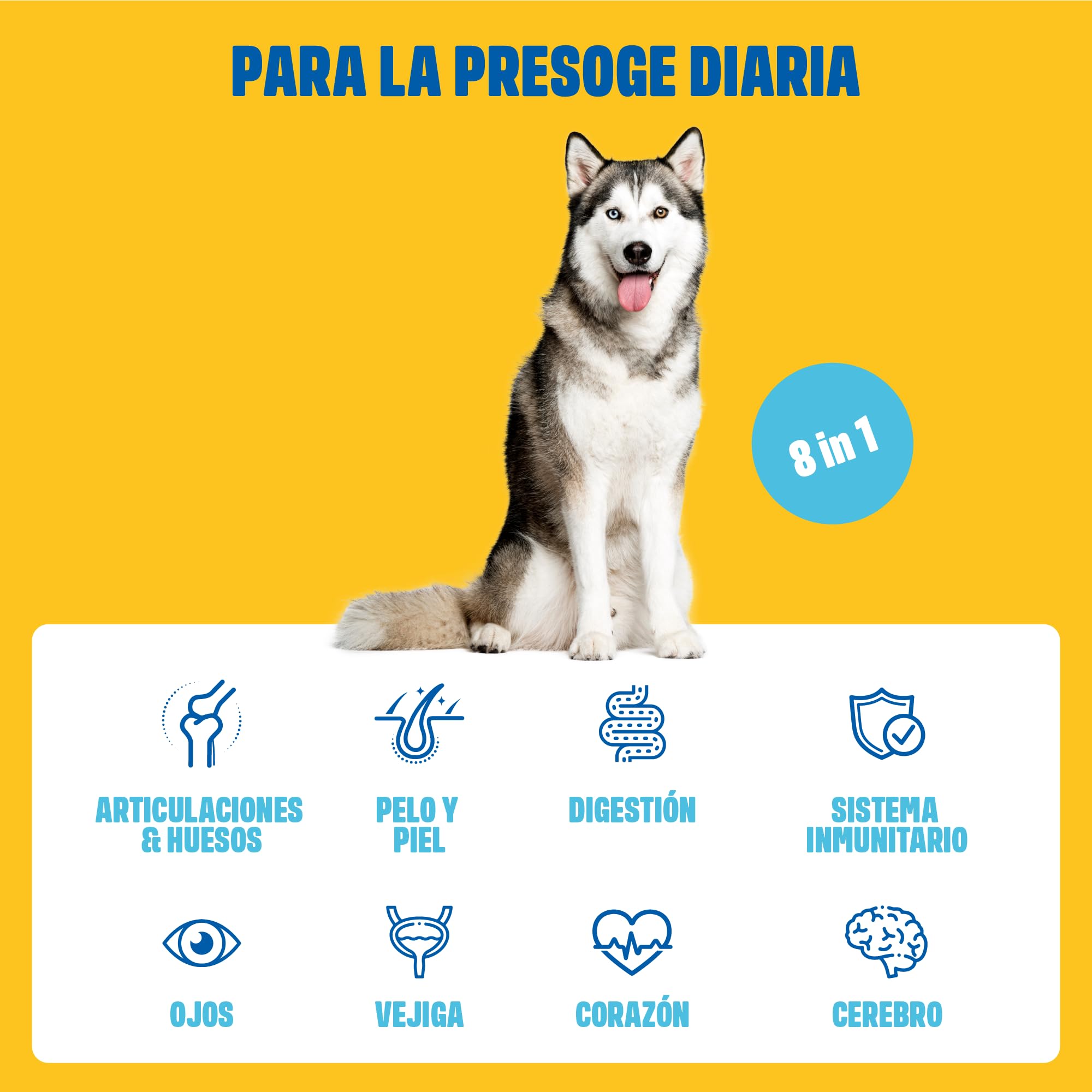 ivvi Multivitaminas - Complemento Alimenticio para Perros como Golosinas - Cuidado Completo para una Vida Feliz del Perro - 60 Golosinas de Pollo (270g)