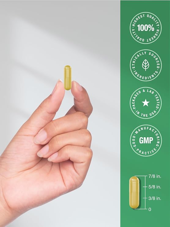 Horbaach Berberine with Ceylon Cinnamon | 120 Veggie Capsules | Vegetarian, Non-GMO & Gluten Free Supplement | Berberine Complex