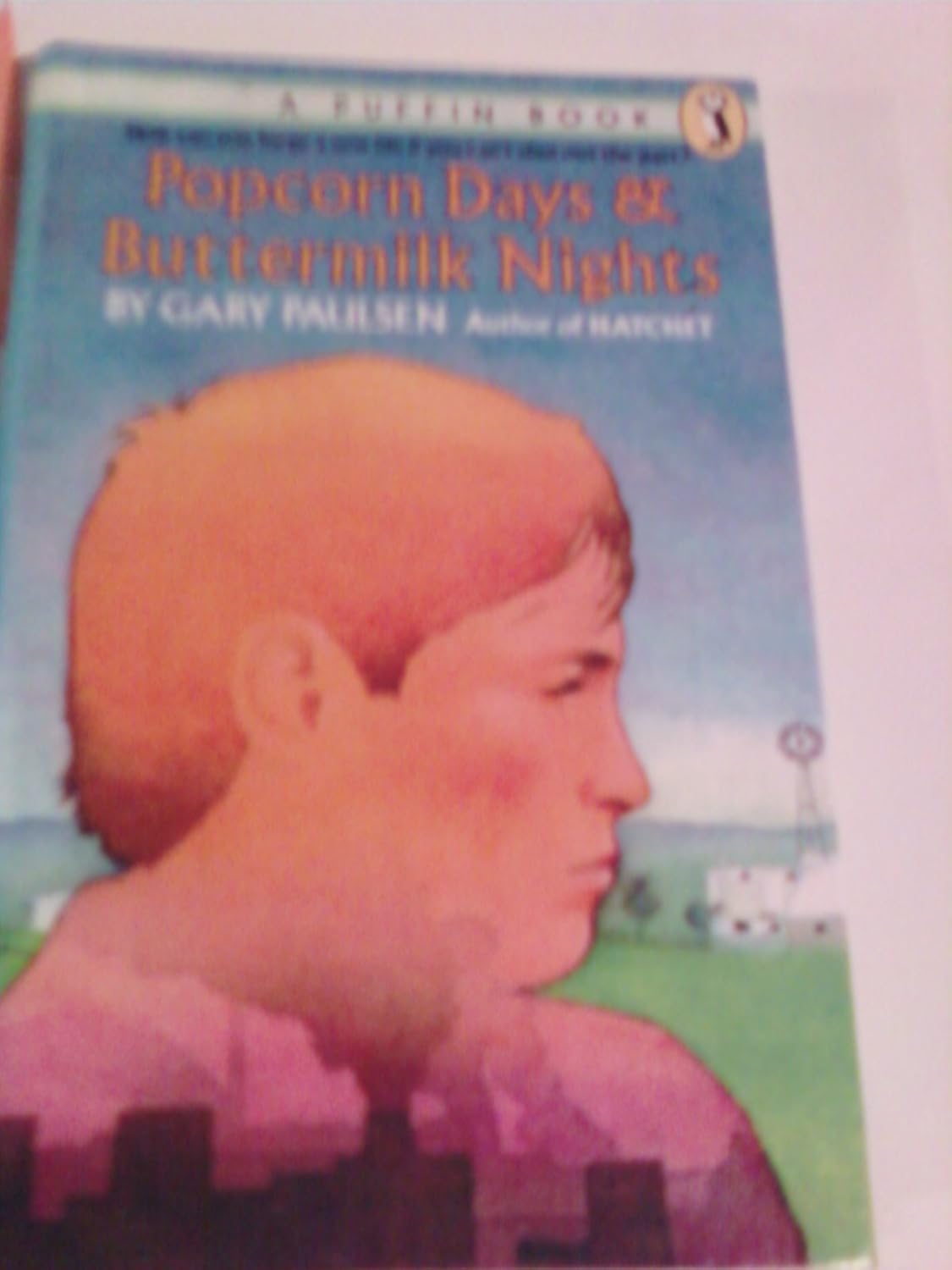 Popcorn Days and Buttermilk Nights 9780606022507 Paulsen