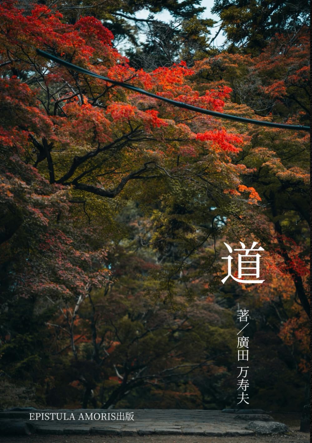 詩集　道