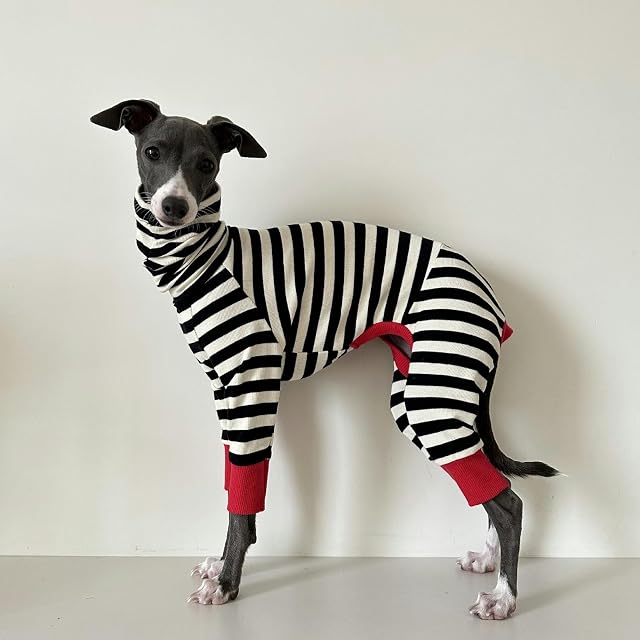 Foto 6 de 6 de UOSIA Ropa de Galgo Italiano suéter cálido de otoño para Whippet Cuello Alto elástico Cachorro Mono clásico…