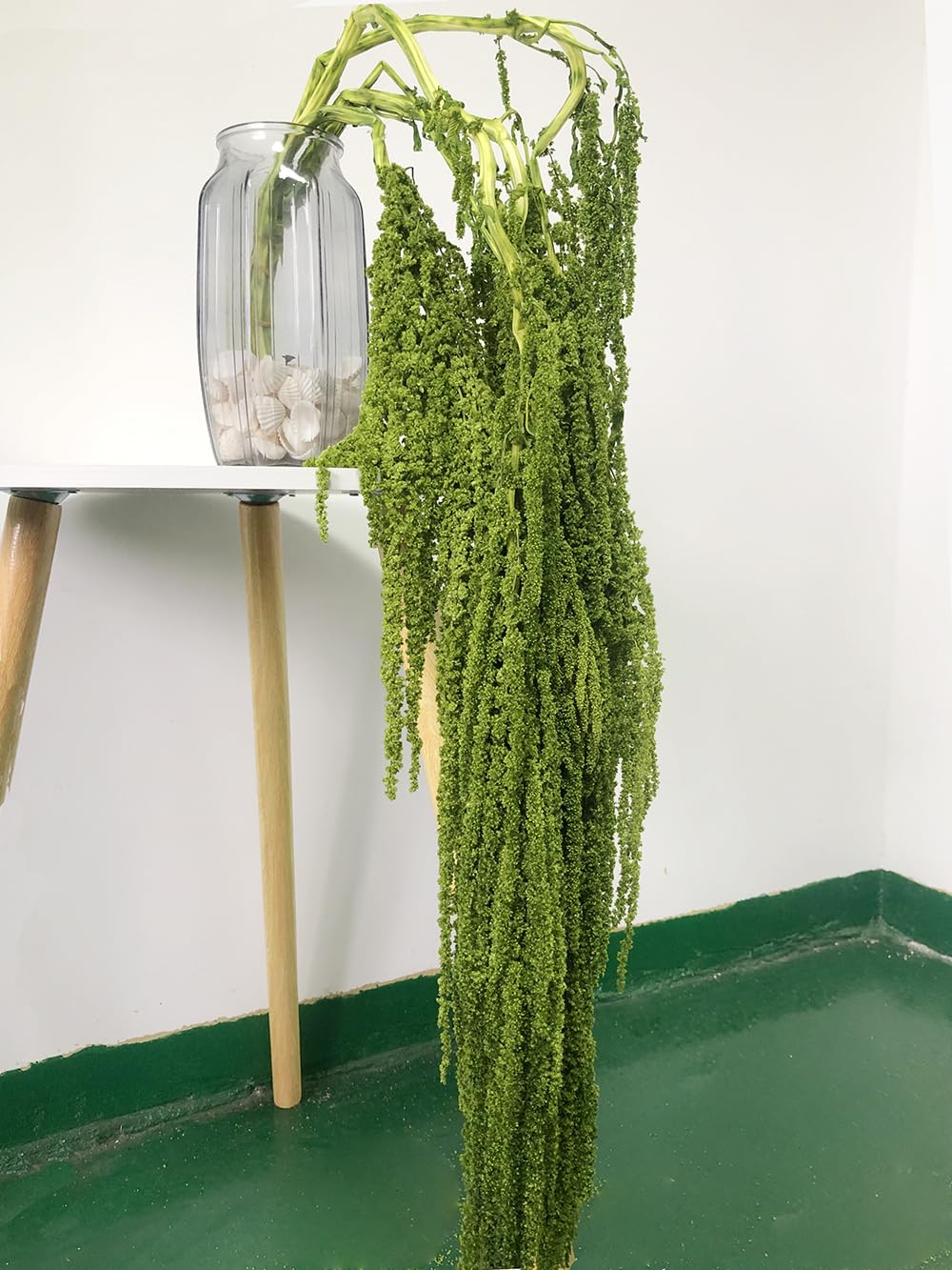KKTHDMS 5 Pieces Amaranthus Flower Dried Preserved Bleached Wisteria Hanging Vine Flowers for Wedding Bouquet Home Wall Decor (Lime Green)