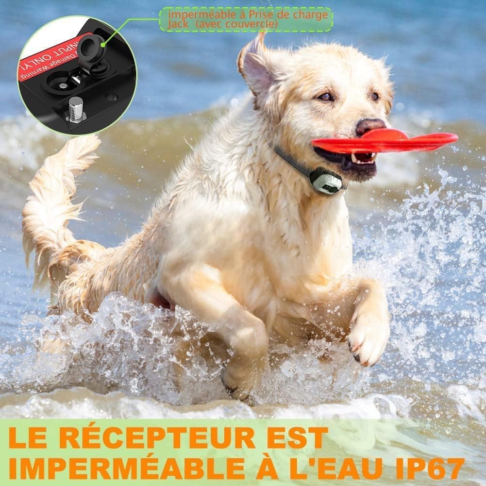 Mode d'emploi simple du collier anti aboiement