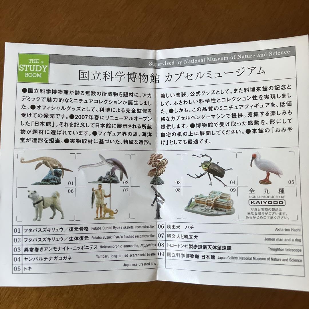 国立科学博物館カプセルミュージアム　コンプリートセット 国立科学博物館カプセルミュージアム - MY COLLECTIONS