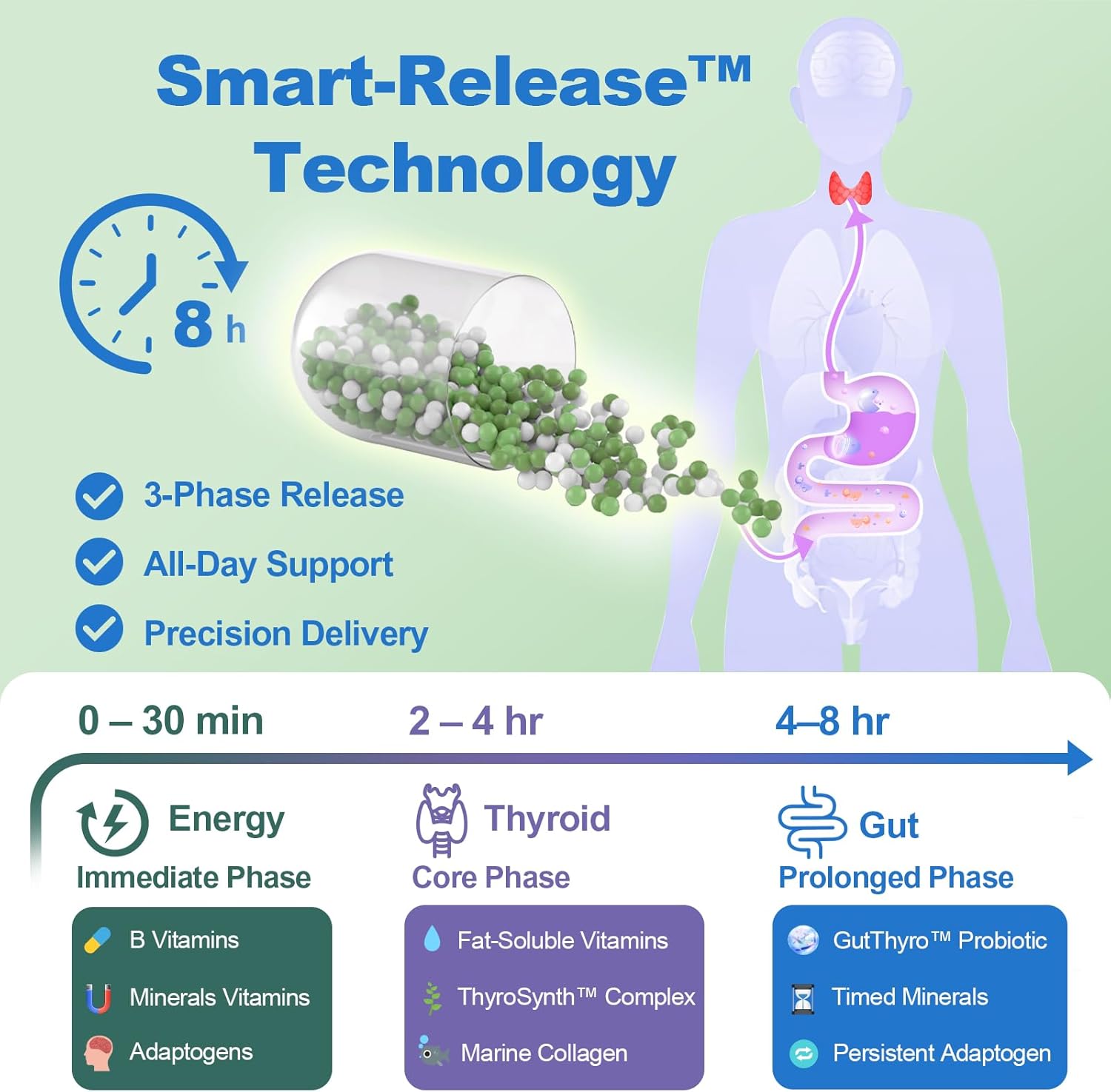 Thyroid Support Supplement for Women 120 Capsules - Smart-Release Micro-Beads with ThyroSynth™ & GutThyro™ - Advanced Thyroid Complex, Ashwagandha, Marine Collagen & 20B CFU Probiotics - 1 Bottle - Image 2