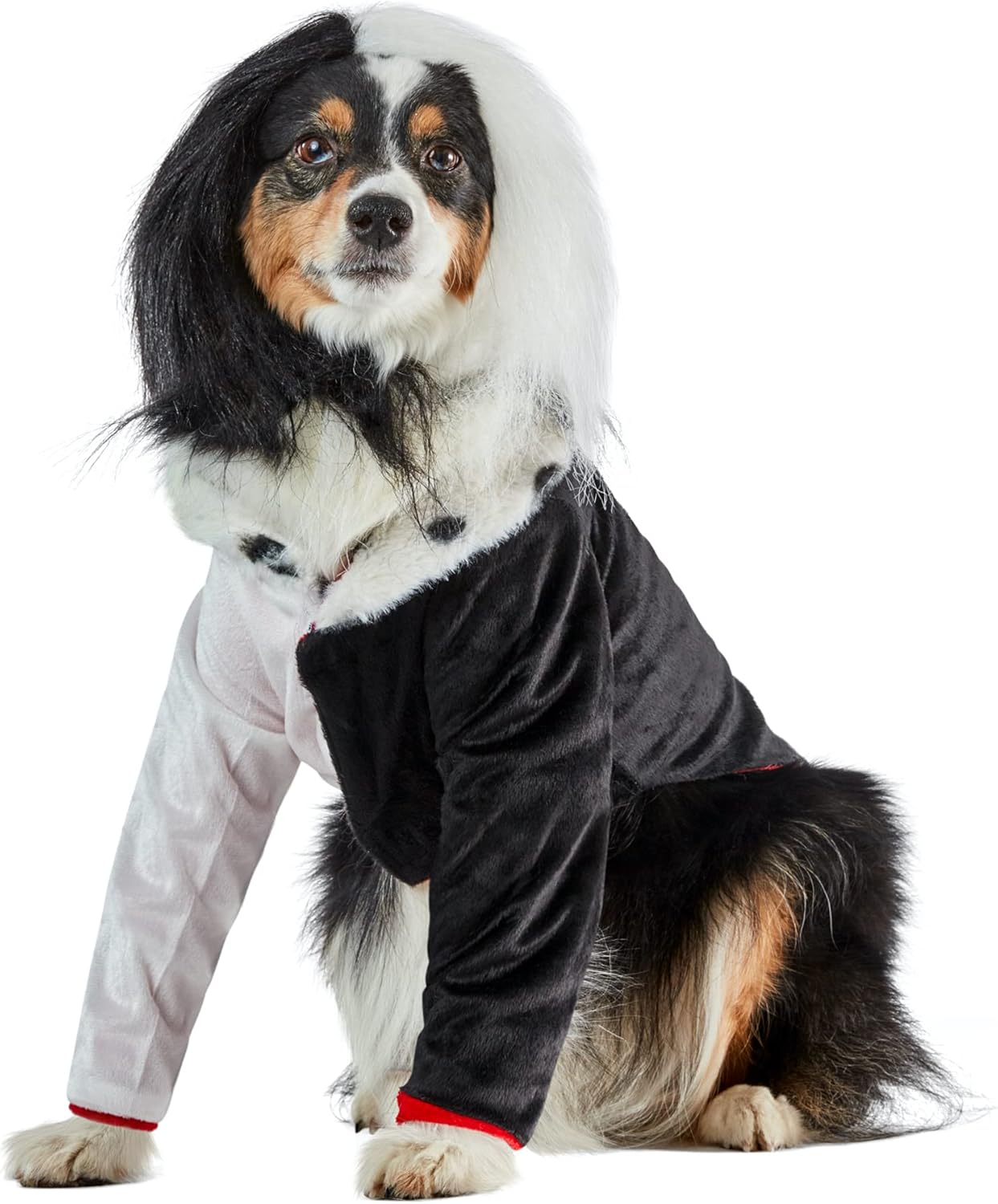 Rubies Disney Villains: Cruella Deville Pet Costume for For Dogs or Cats, Medium