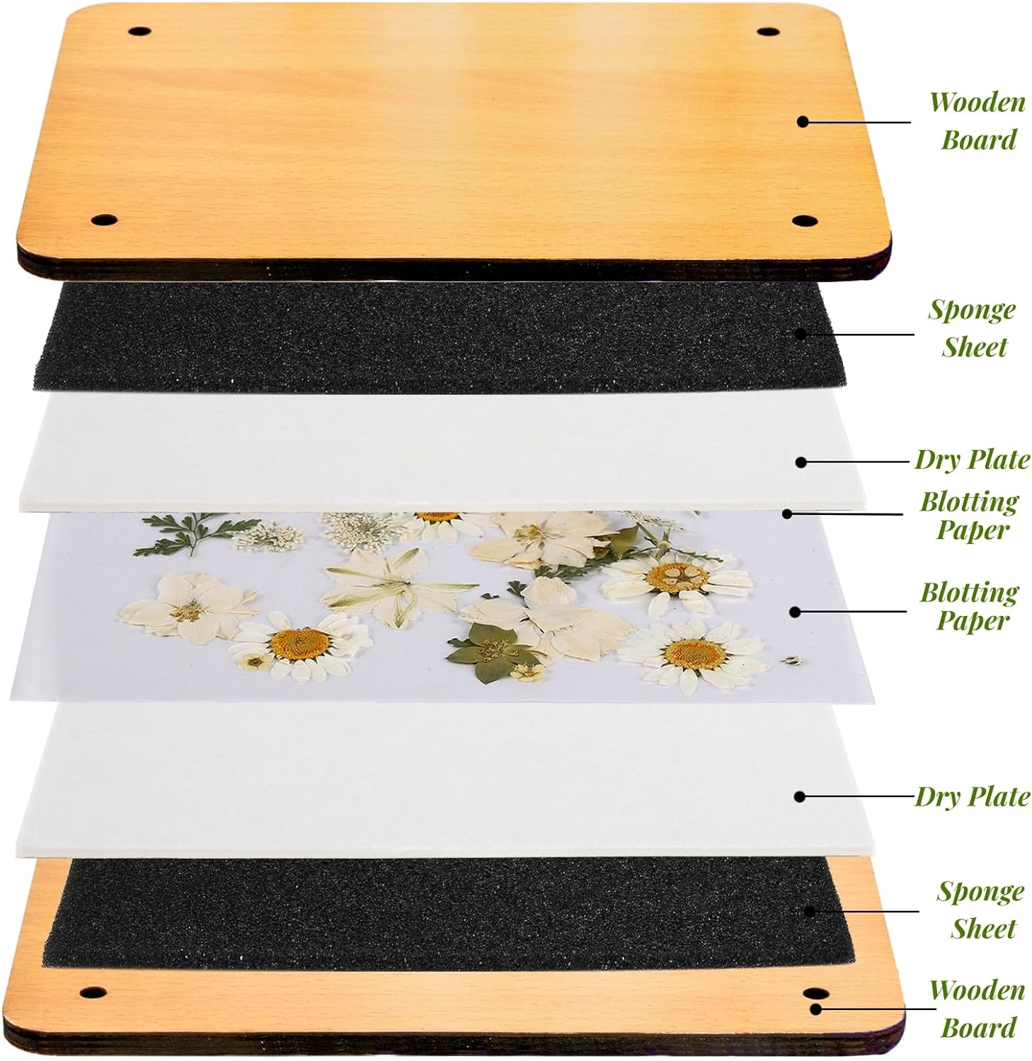 Noamus 54Pcs Flower Press Kit, 7" x 9.5" 6-Layer Wooden Leaves Pressing Kit for Adult, Solid Wood Book Pressed Plant Preservation Kits, DIY Arts Dried Flowers Craft Tool for Gift - Image 4