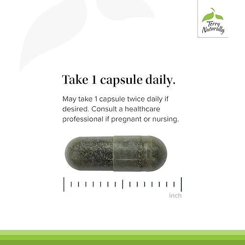 Miniatura 4 de Terry Naturally Andrographis EP80 Extra Strength - Salud cerebral y apoyo inmunológico - Suplemento de salud articular para ayudar a la movilidad -