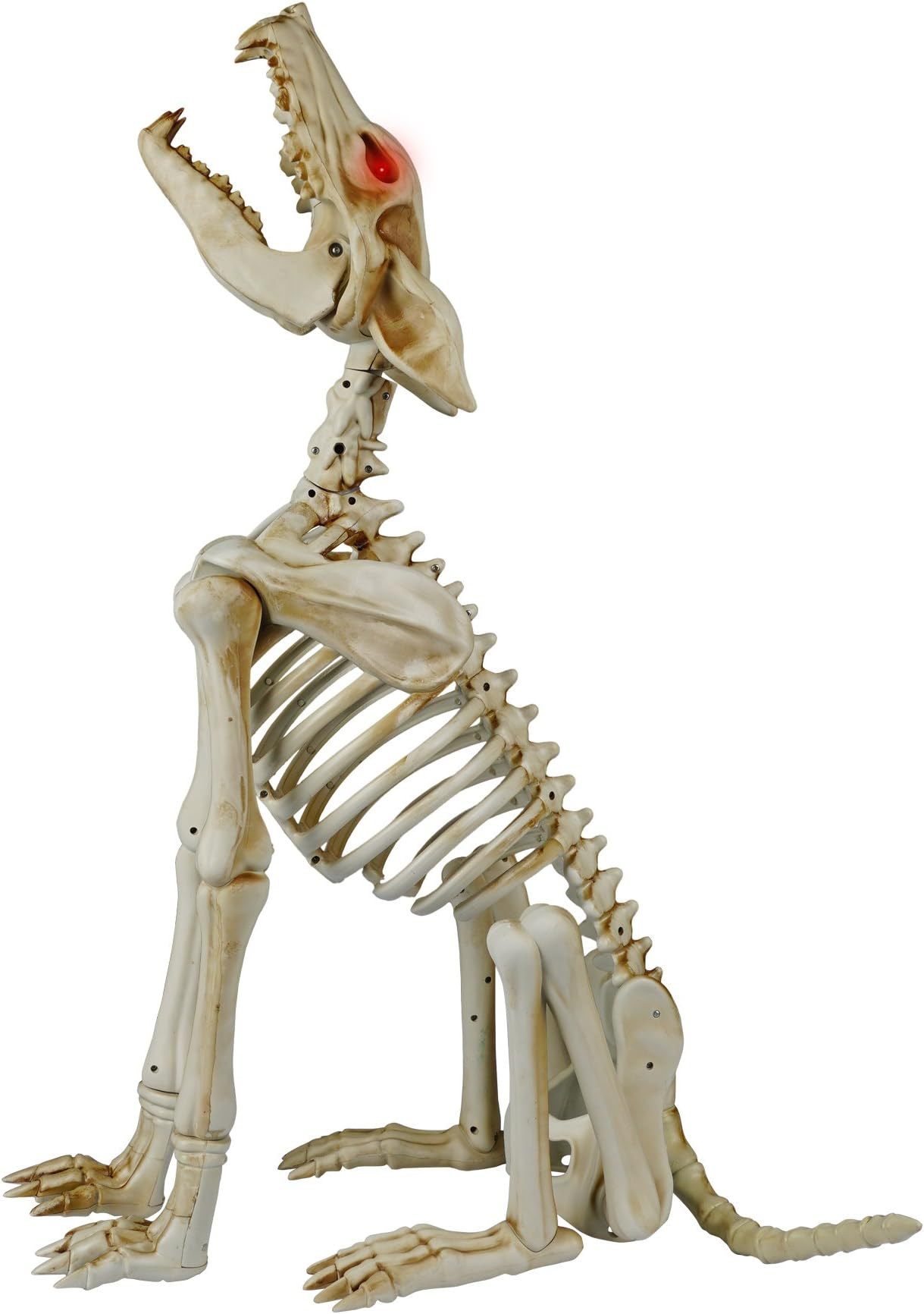 31 Inch Life Size Animated Halloween Howling Wolf Crazy Bones with Sound - Eyes Light Up Red