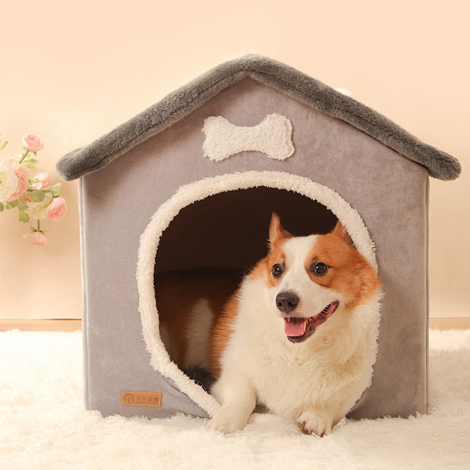 Cuccia pieghevole per cani – Cuccia pieghevole chiusa, cuccia per cani di piccola taglia | Cani e gatti e grandi, caldo invernale, cuccioli, prodotti per divano | Cuccia per gatti in peluche con cuscino rimovibile adatto per cani e gatti di piccola e medi