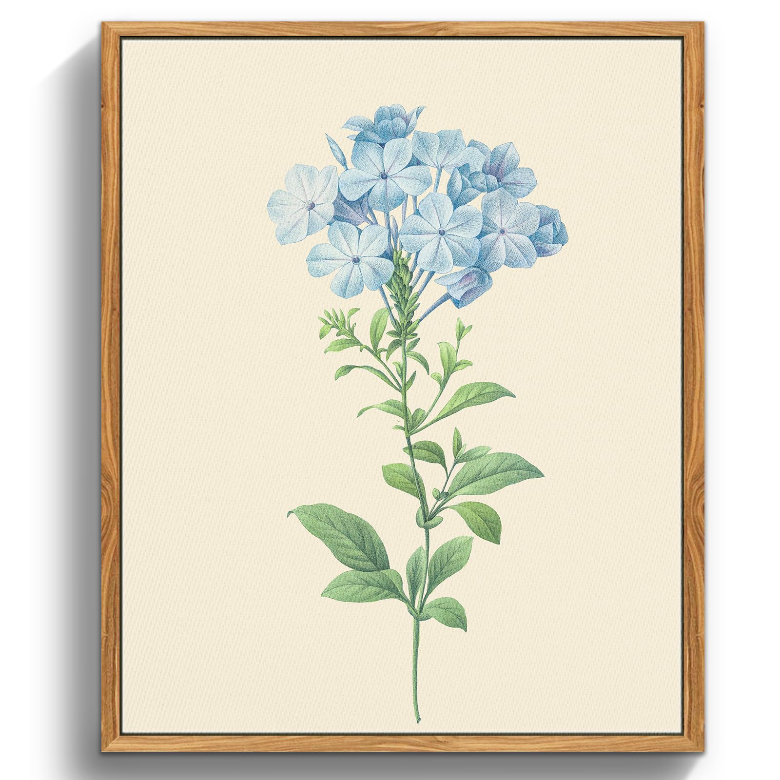 MHARTK66 Cuadros Decoracion Dormitorios con Marco Madera, 30x40 cmVintage Planta Lienzos Decorativos Pared Salon, Cuadros Pequeños Decoracion Pared Plumbago Azul, Wall Art Comedor Pasillo Baño