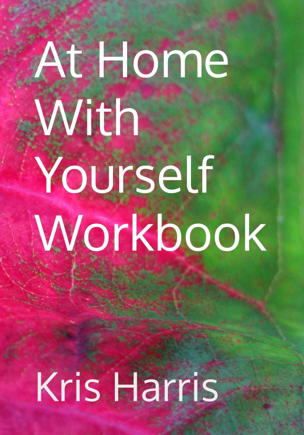 At Home With Yourself Workbook (Healing In Motion/Unstuck Series)