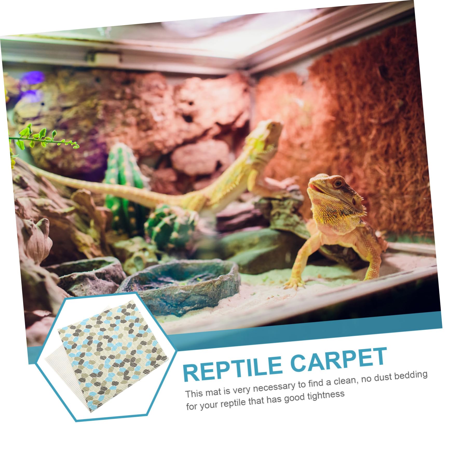 Tappetino per Terrario Rettili Riutilizzabile in Poliestere | Tartarughe e Serpenti, Superficie Confortevole, Accessorio per Fondo Vasca, Dimensione Standard