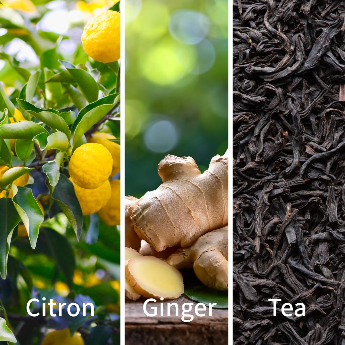 INDIRA Fresh Citron - Eau De Parfum - Citrus Aromatic - Unisex - 100 ML / 3.4 FL OZ - Spray - Image 3