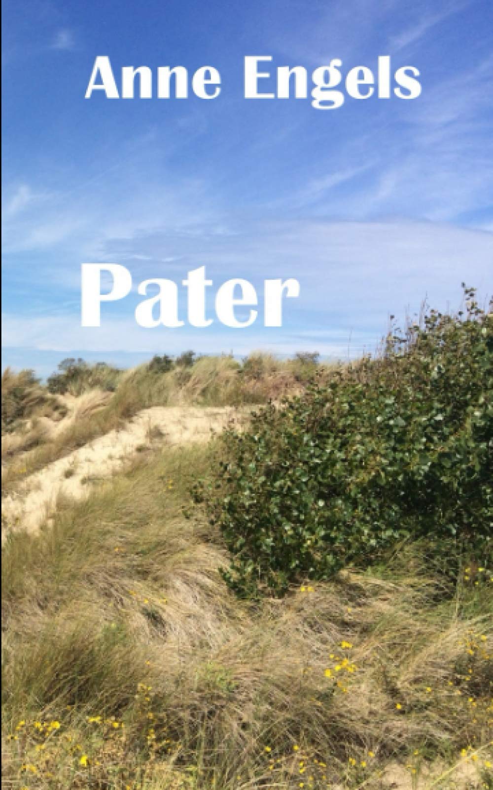 Pater (Les enquêtes du lieutenant Besquet) (French Edition)
