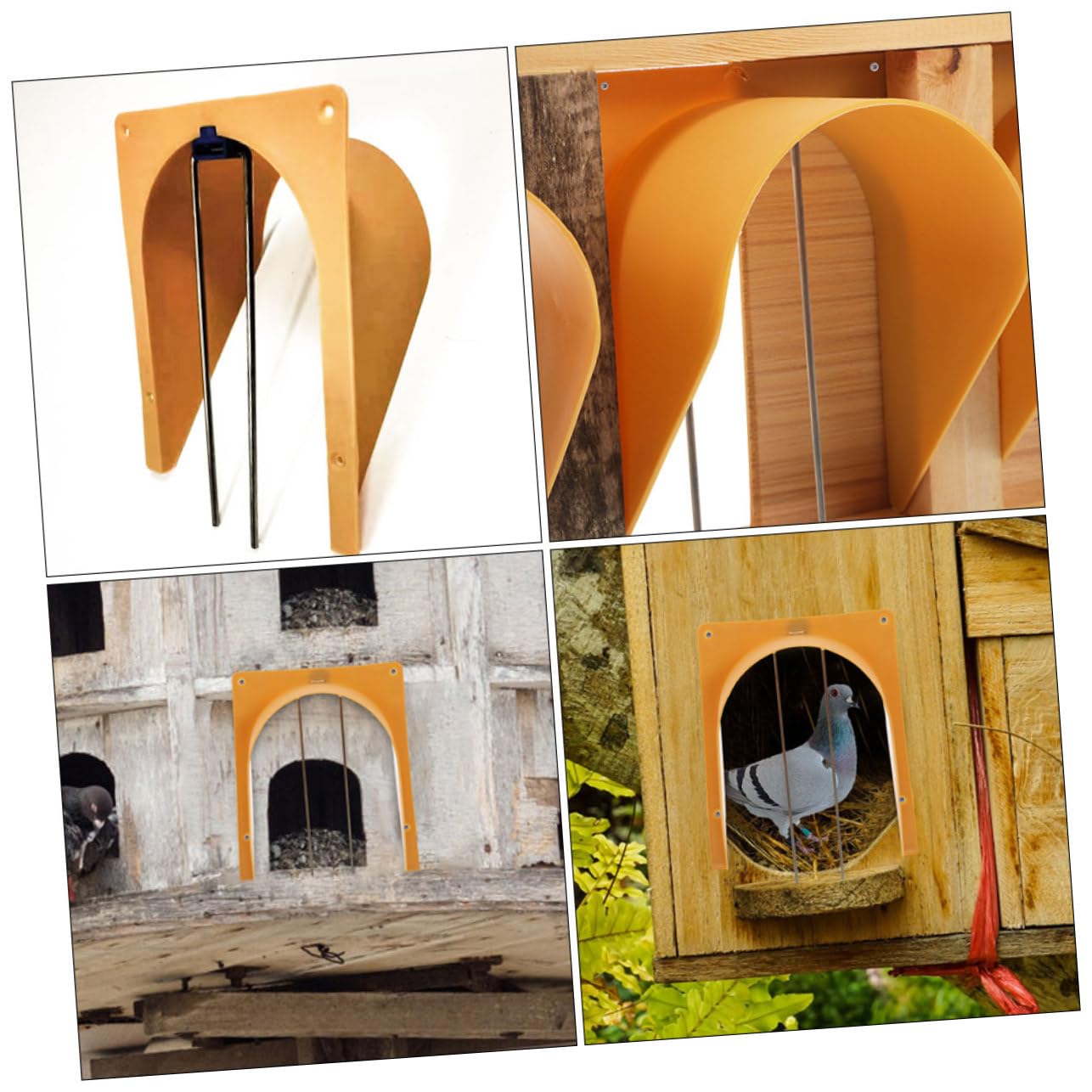 SOIMISS 5 Pz Gabbia Per Piccioni Porta Mangiatoia Porta Per Piccioni Da Corsa Accessorio Per Uccelli Cattura Furetti Corvo Piccione Domestico Porta D'Ingresso Nido Di Miglio