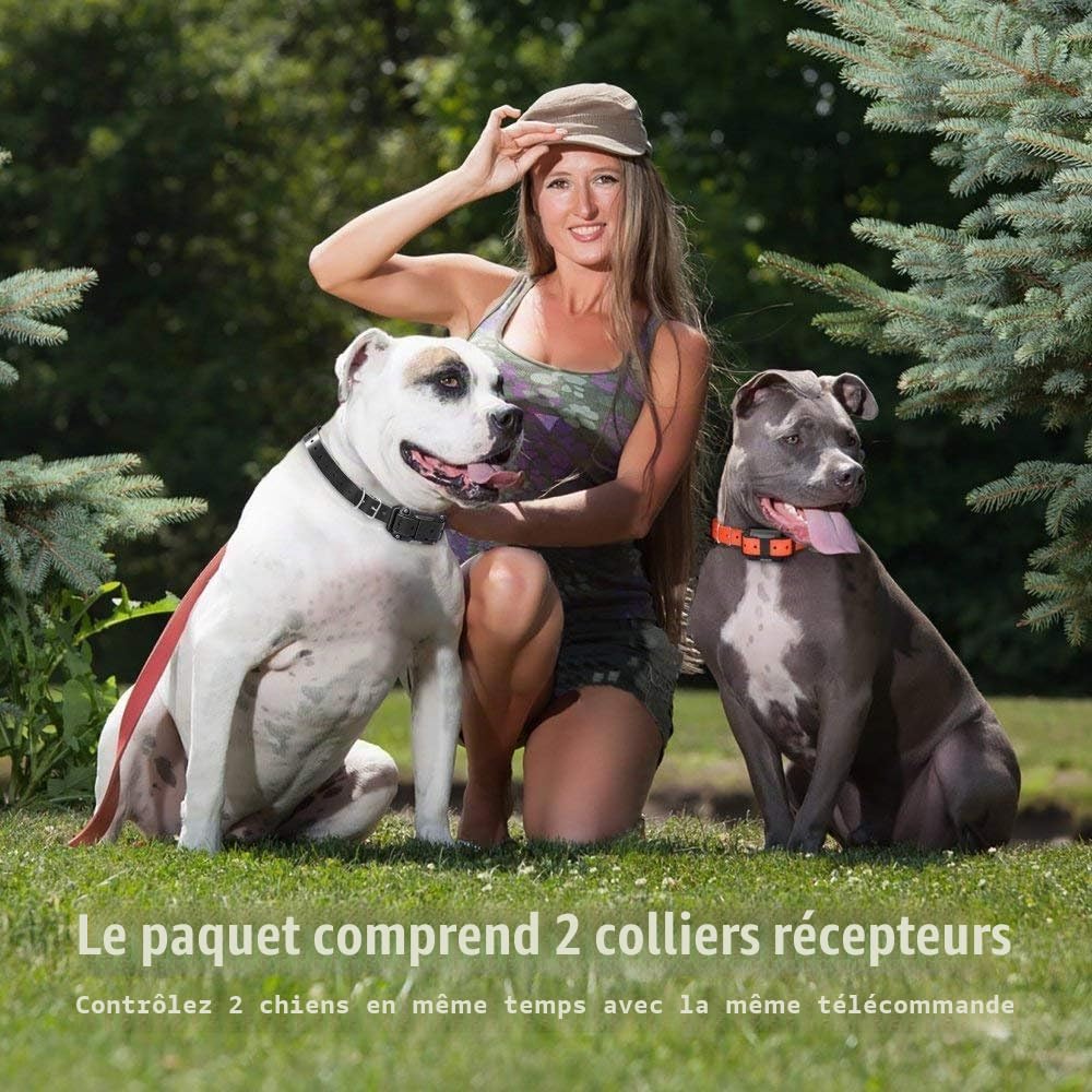 Collier de Dressage pour Chiens Electrique, Anti Aboiement avec Télécommande Beep Vibration Choc et Lumière LED, Etanche Rechargeable pour 2 Chiens Petit Moyen Gros Noir