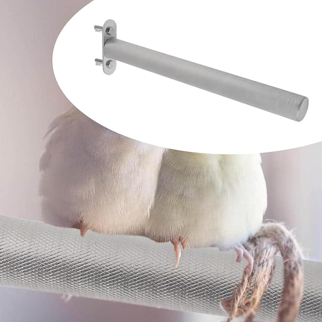 Foto 2 de 7 de eMagTech 1 Percha para Pájaros de Acero Inoxidable Ideal para Periquitos Cacatúas Y Loros Grises Africanos…