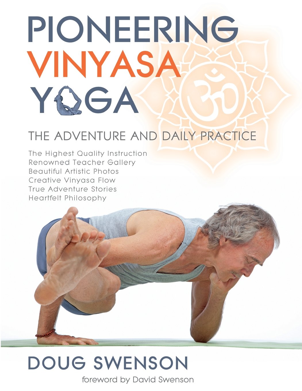 Pioneering Vinyasa Yoga: The Adventure and Daily Practice Paperback – 15 June 2017
