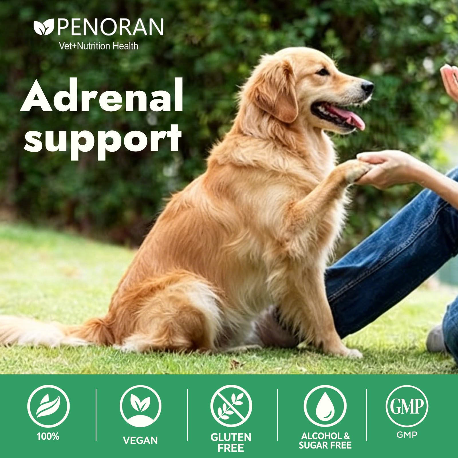 Adrenal Balance Harmony Drops for Dogs, Relieve Cushing's Liquid — Amazon image 2