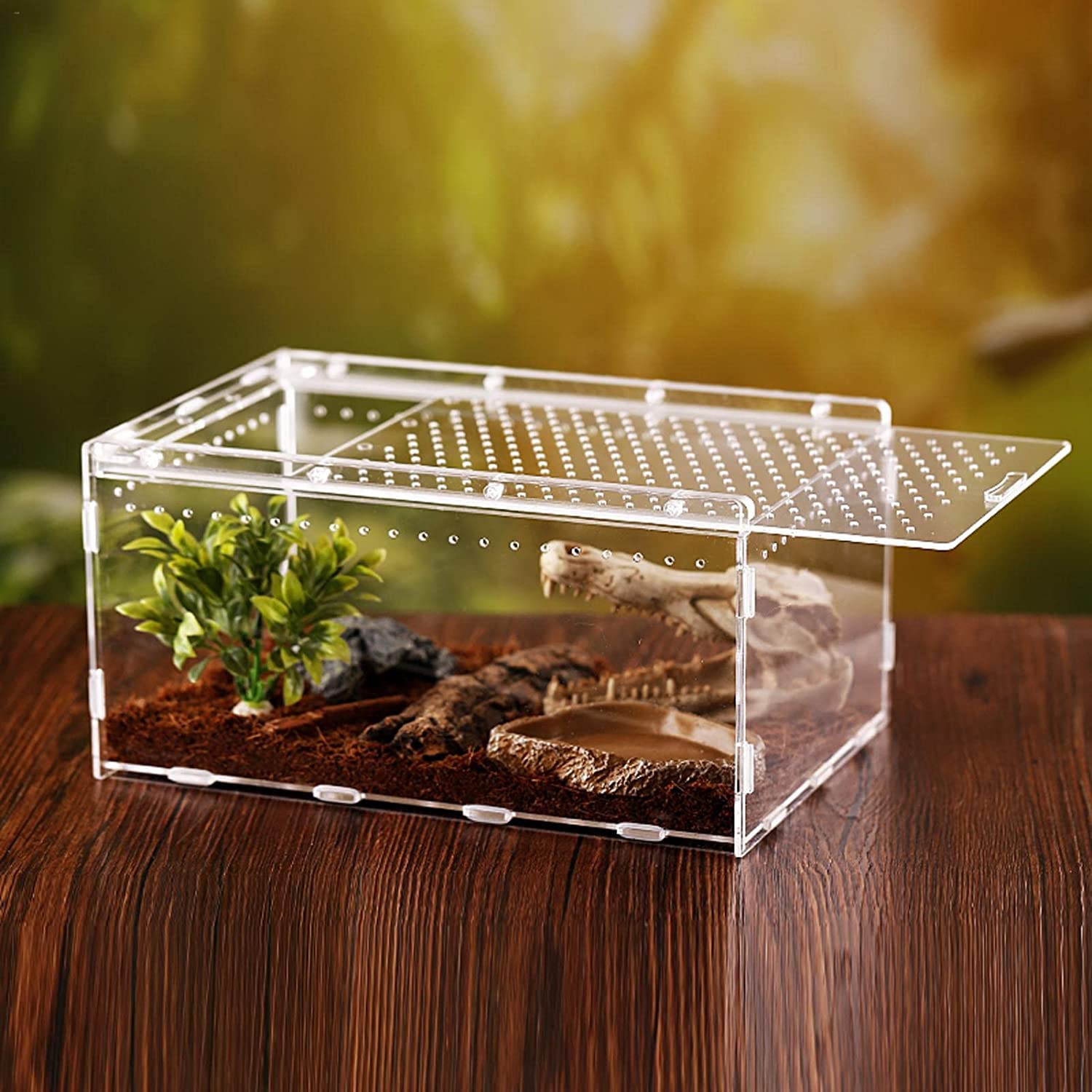 アクリル製中型飼育ケージ　穴あり Amazon.co.jp: 飼育ケース 爬虫類 ケージ 昆虫飼育ケース 飼育