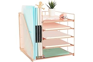 AUPSEN Cute Paper Organizer with File Holder and 5 Trays for Desk