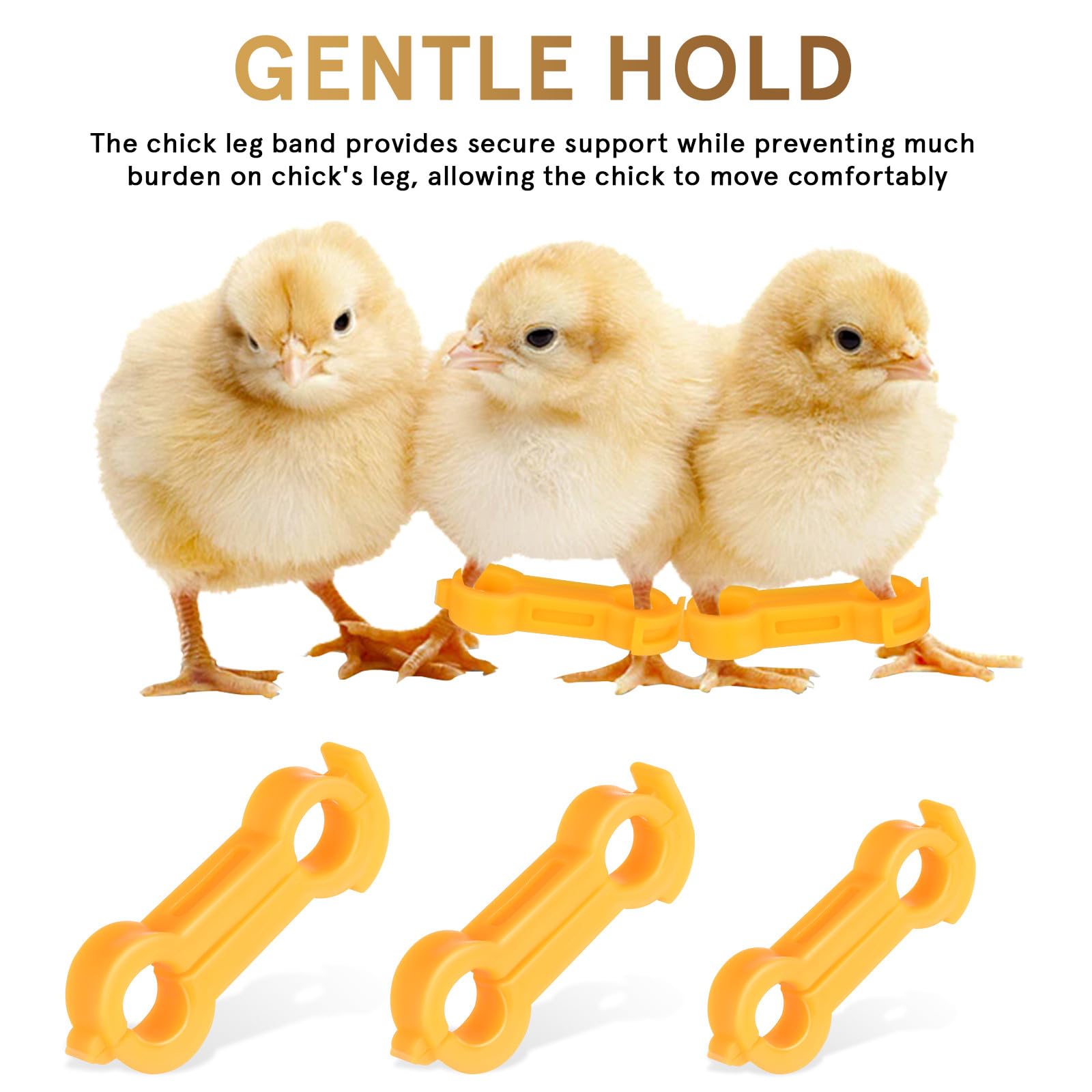 TEHAUX Bandas Correctoras para Patas de Pollitos y Aves, Anillos de PVC de Diferentes Tamaños, Sujeción Segura Crecimiento Saludable, Paquete de 12 Unidades Amarillas