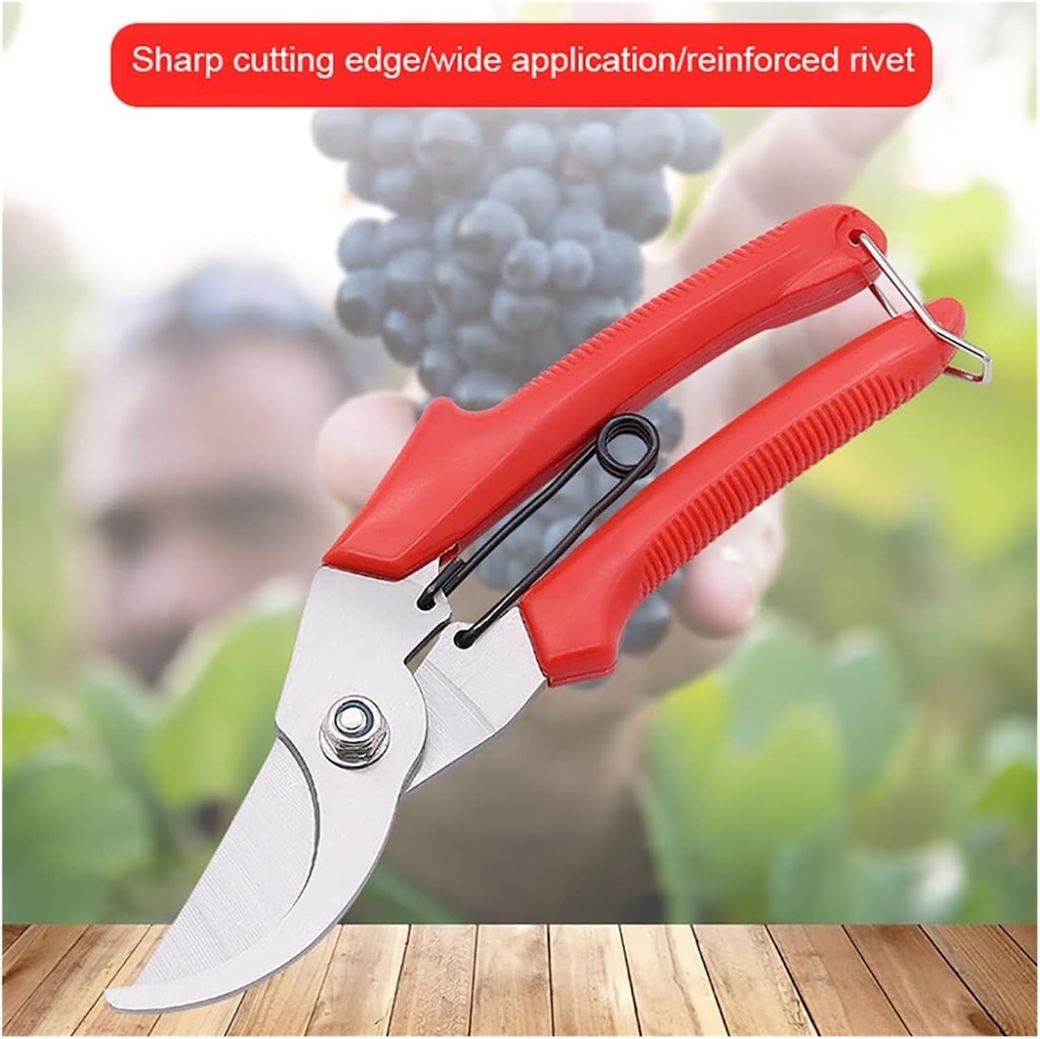 Pruning Shears Garden Secateurs, Pruning Shears with Rust Proof Stainless Steel Blades Non Slip Handle Hand Tools