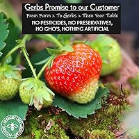 Vista 46 de GERBS rodajas de mango disecadas dulces 4 libras. Sin sulfuro, sin aditivos artificiales, bolsa resellable Naturalmente masticables y dulces