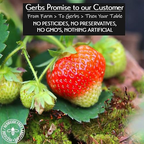 Miniatura 3 de Frutas secas GERBS Top 14 libres de alergia alimentaria sin sulfuro sin conservantes sin OMG vegano