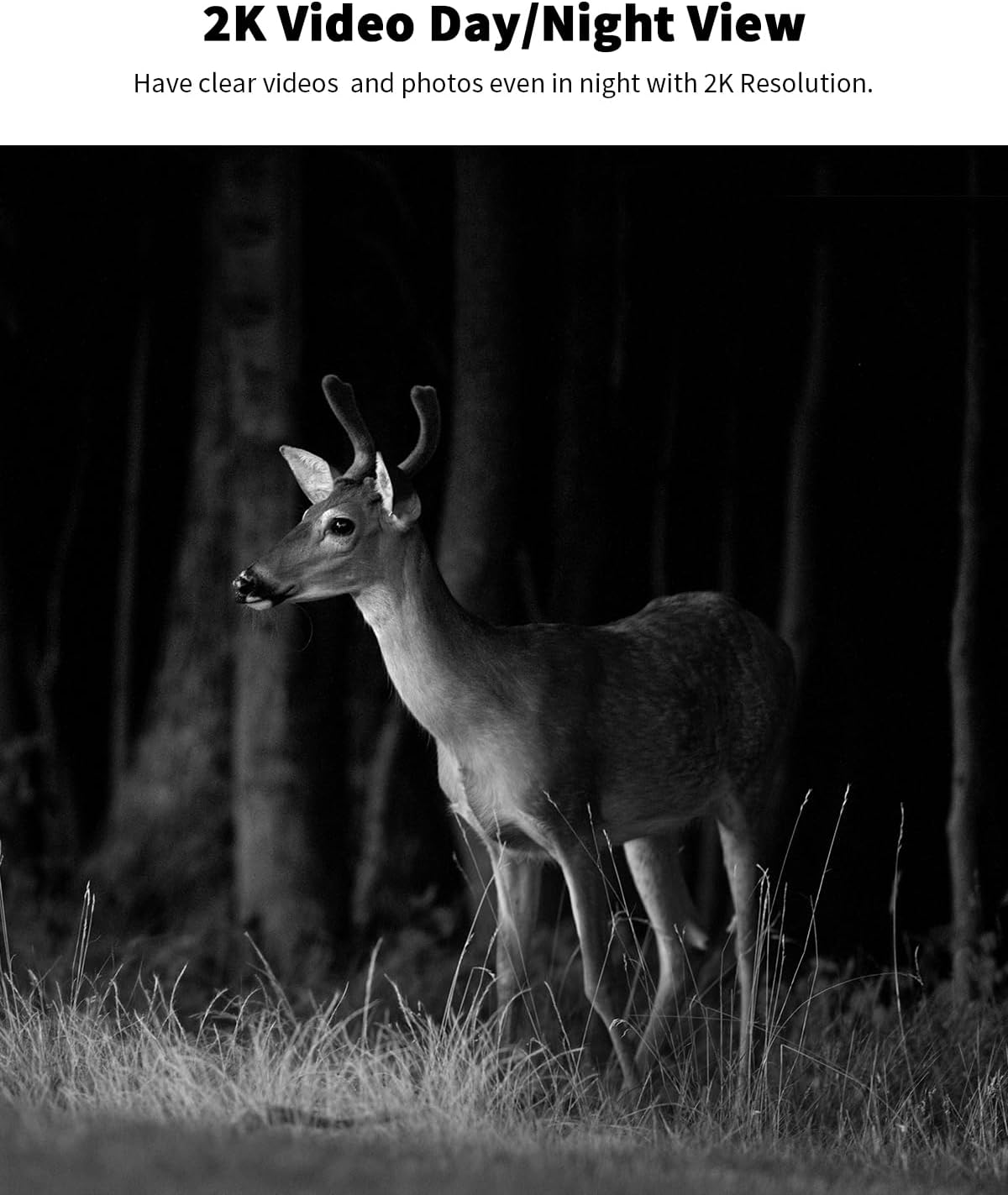 Cellular Trail Camera with 360° Live Streaming, Solar Powered, Built-in 4G SIM Card, Remote Access, Motion Activated, 2K Night Vision, No WiFi Needed's Cellular Security Camera