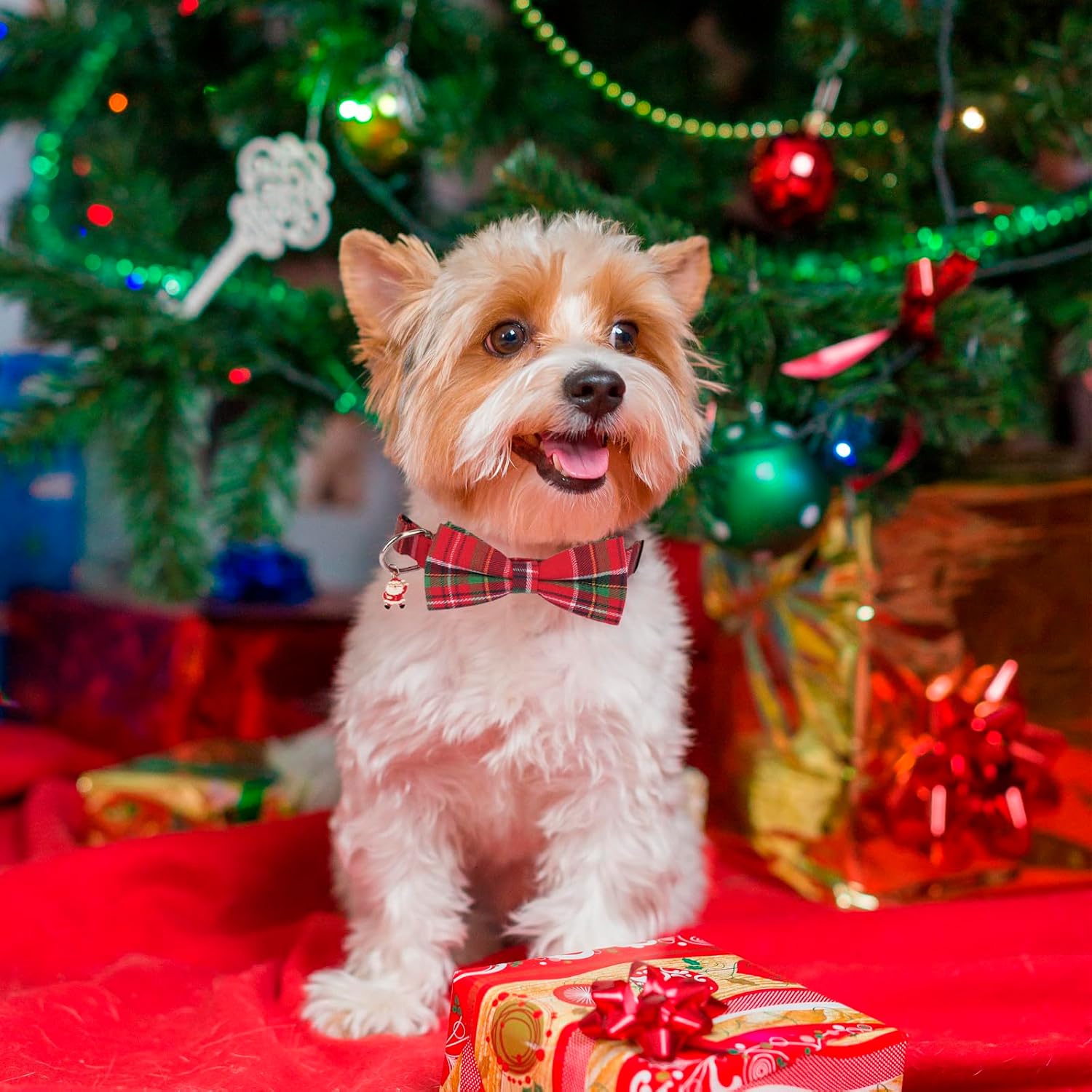 PTDECOR Christmas Dog Collar with Bow, Red Green Plaid Dog Collars, Small image 4