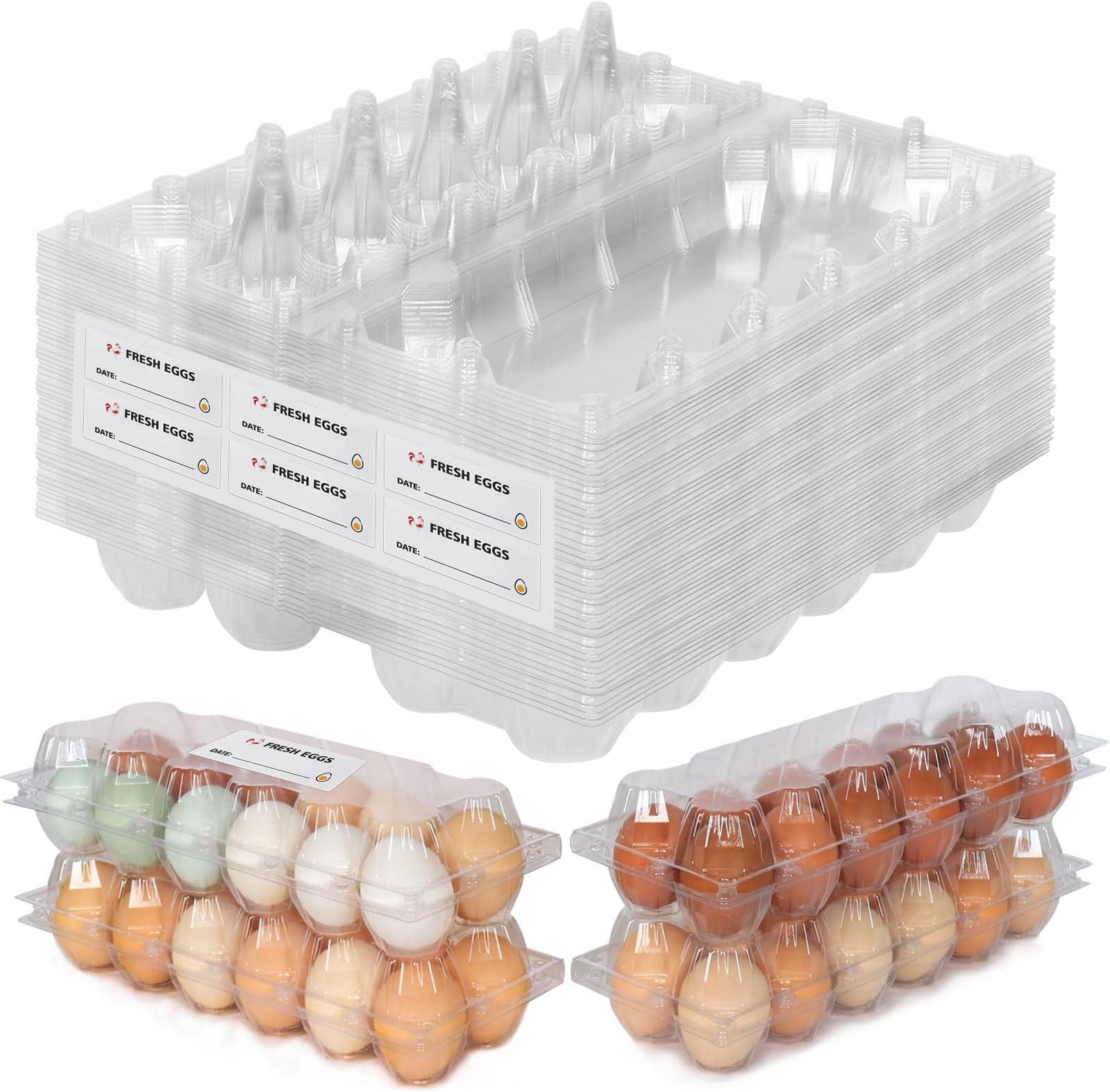 SINLUCESCE 60 Packs 12 Count Clear Egg Cartons, 2 * 6 Grids Design, Perfect for Family, Farm, Markets, Display(Large)