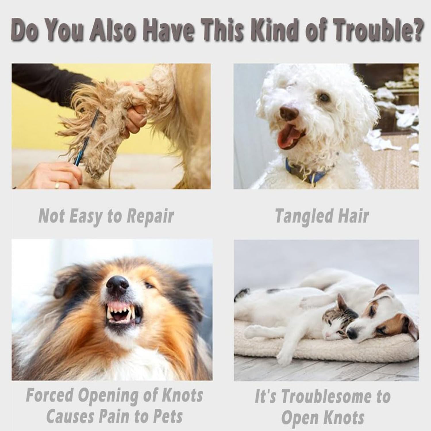 2 Pieces Tie Comb Dog Shedding Comb Tool, Massage Comb Pet Supplies Dog Grooming Instrument Portable Pet Comb, Pet Hair Comb Lingerie Duster 4 71OY5bQSWHL. AC SL1500