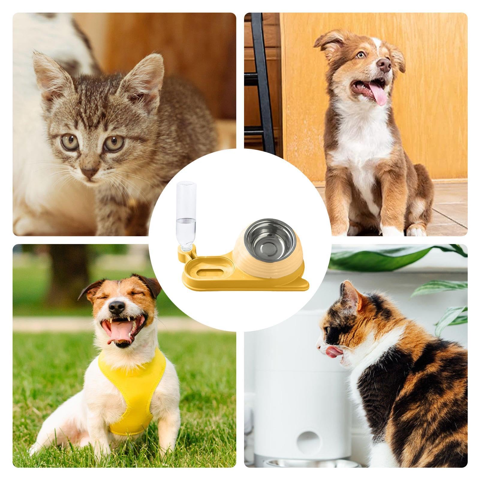 Mangiatoia per animali domestici, Ciotola for gatti con distributore d'acqua - for bottiglia | Set di ciotole for acqua e cibo for animali domestici inclinate stabili(Yellow)