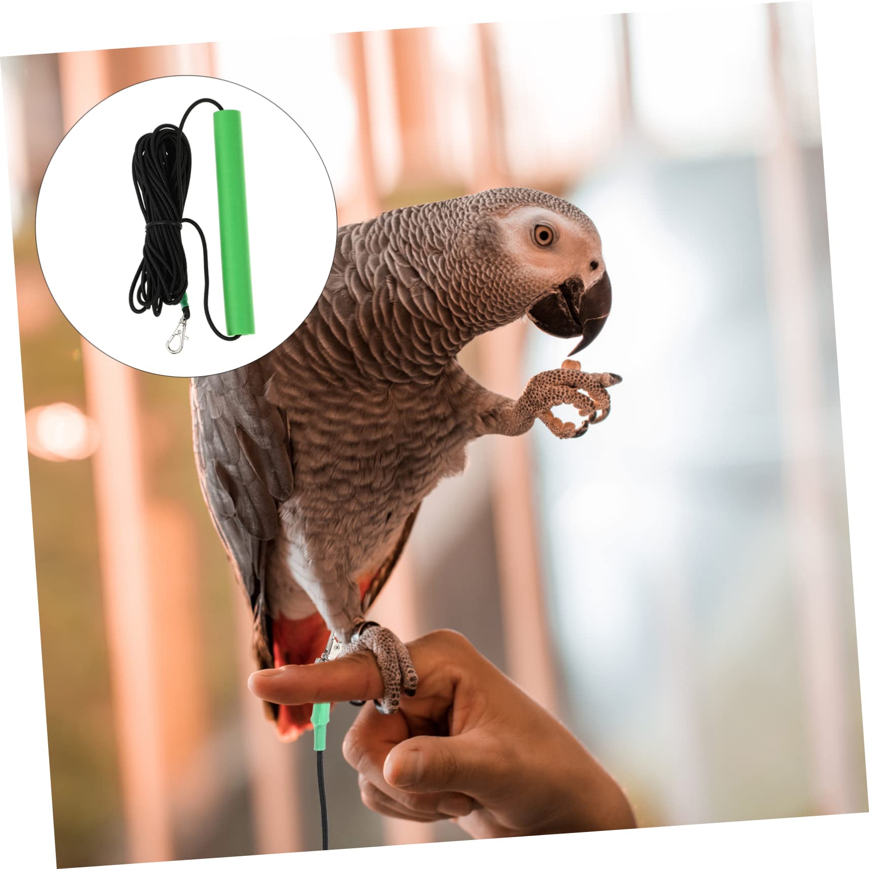 COLLBATH Arnés y para Pájaros Cuerda De Entrenamiento Antimordedura para y Pequeñas para y Entrenamiento De Aves