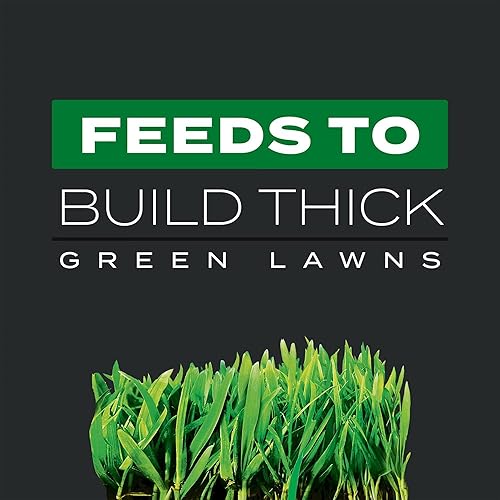 Miniatura 7 de Scotts Turf Builder Triple Action, herbicida y preventivo más fertilizante para césped, 4,000 pies cuadrados, 11.31 libras.