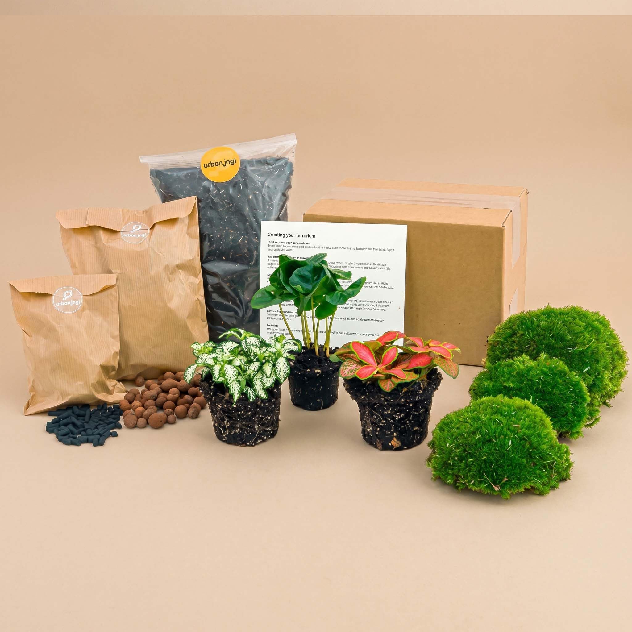 urbanjngl - Coffea Arabica Terrarium Start- und Nachfüllpaket – 3 Terrarienpflanzen für DIY-Projekte – Ideal für Pflanzenliebhaber und Einsteiger